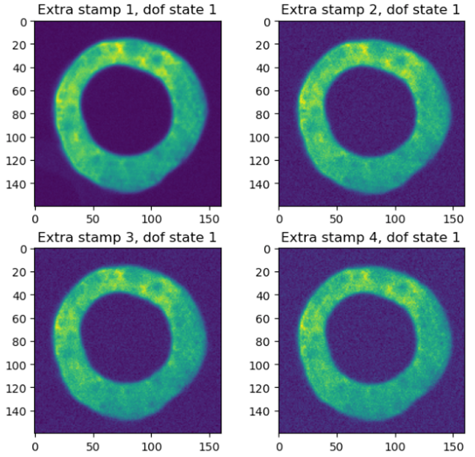 Cutout donuts for the first optical state.